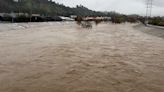 Video shows LA River raging on Monday as area hit with flash-flood warning