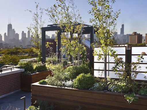 A Green Roof Could Slash Your Energy Bill in All This Heat