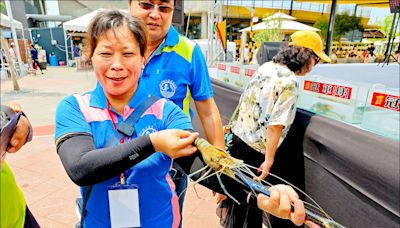 《屏東》屏東黑鮪魚季登場 海洋音樂會開唱