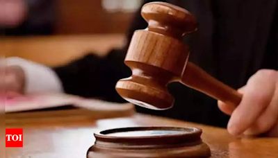 Punjab and Haryana High Court Upholds New Laws, Boosting Confidence in Justice System | Chandigarh News - Times of India