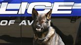 Avon Police K-9 Jax retires after 8 years of service