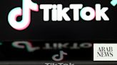 Iraqi minister proposes TikTok ban over societal concerns