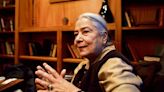 Anita Desai's Rosarita: A fable about loss and disappearing mothers