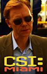 CSI: Miami - Season 2