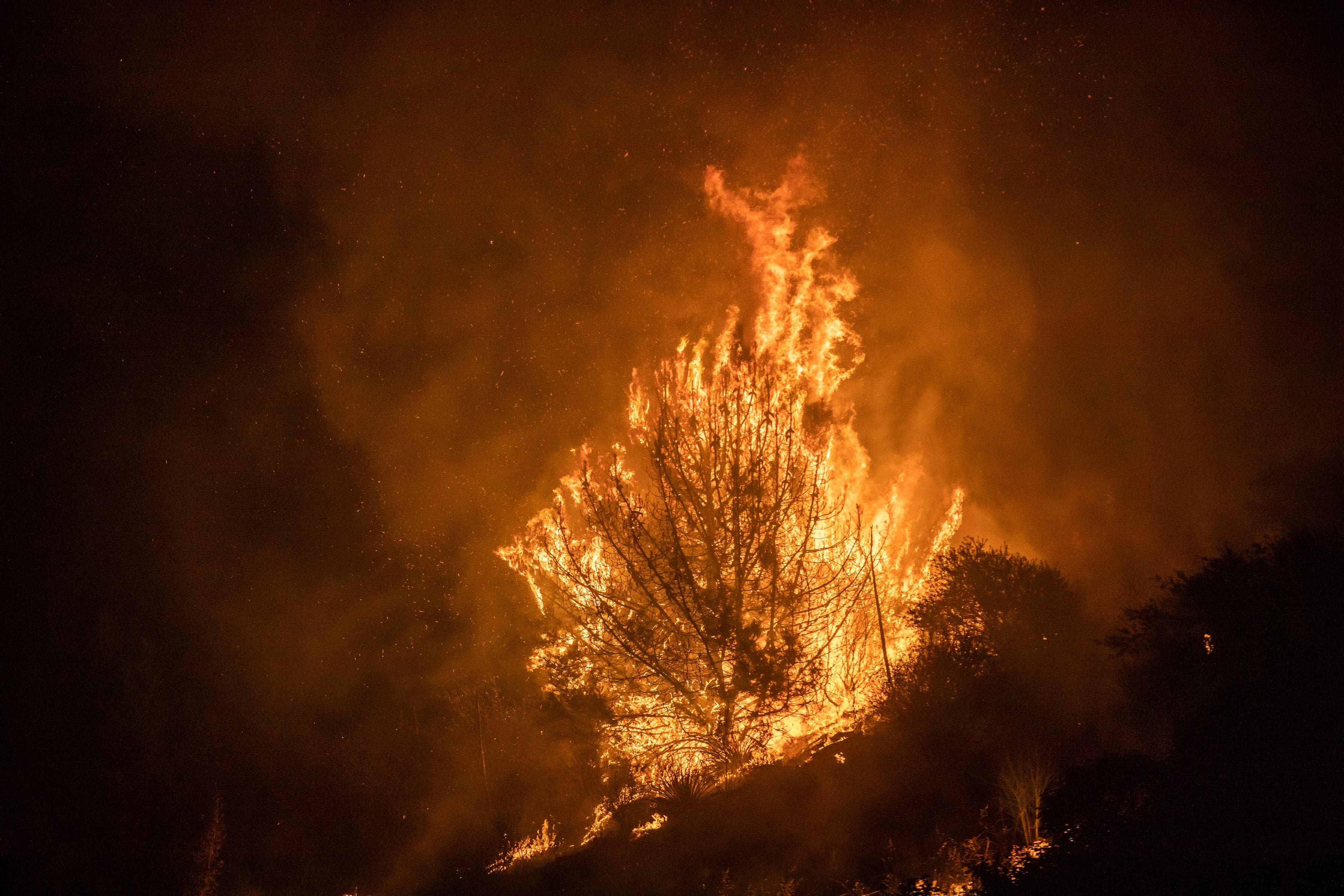 California's Line Fire grows to 26,000 acres, more evacuations underway: See wildfire map