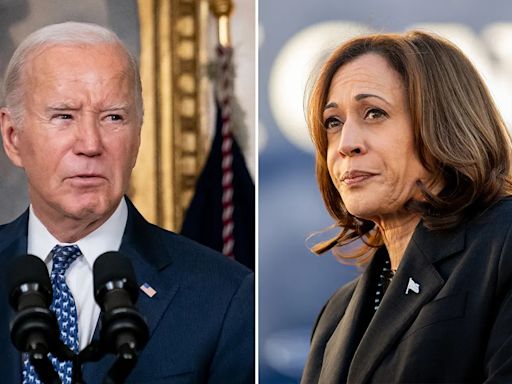 Democratic National Committee to nominate Biden, Harris virtually ahead of Chicago convention