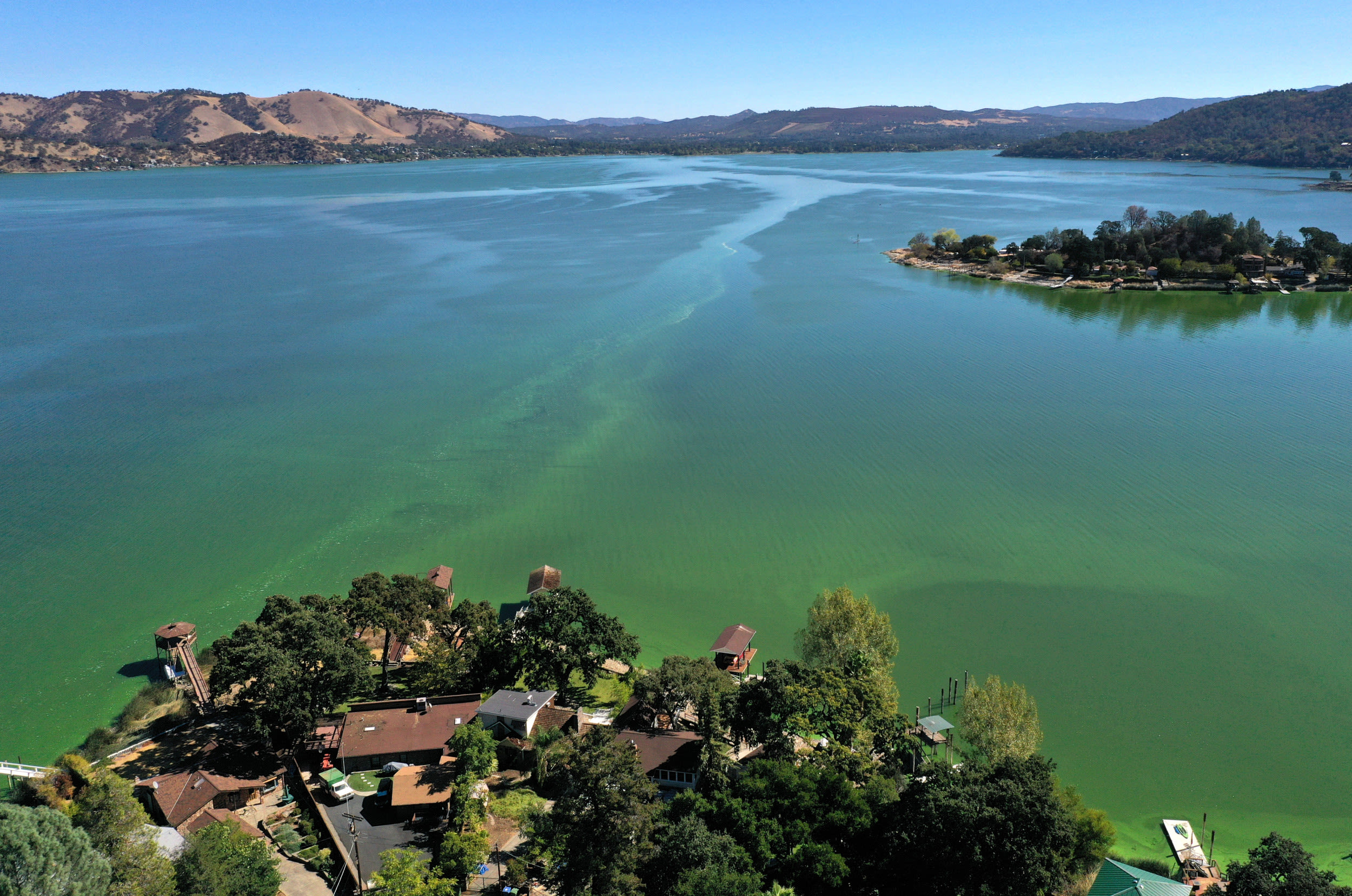 California pet owners warned after toxic substance found in lake