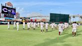 Calallen baseball sweeps Boerne, advances to state