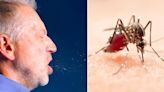 ¿Qué es más peligroso el dengue o el COVID?