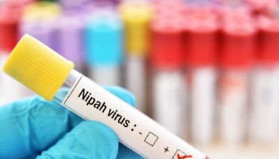 Nipah Virus Outbreak: Kerala On Alert After 14-Year-Old Boy Dies At Kozhikode Hospital