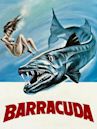 Barracuda (1978 film)