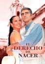 El derecho de nacer (2001 TV series)