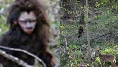 'Baby Bigfoot' caught on camera wandering through woods with deer