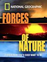 Forces of Nature (2004 film)