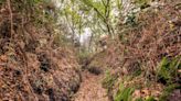 Network of First World War training trenches among sites added to heritage list