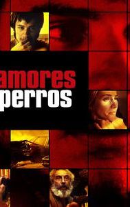 Amores perros