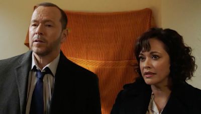 Why Blue Bloods' Danny Reagan Was So Annoyed At Baez In Season 14, Episode 6 - Looper