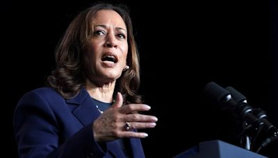 ‘Same Old Show’: Kamala Harris Responds to Trump’s Racial Dig