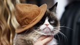 Día internacional del gato, ¿qué famosos son “catlovers”?