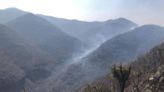 Piden auxilio para apagar fuego que devora bosques de Suchitepec, en la Mixteca de Oaxaca