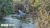Summit tackling sewage pollution in Gloucestershire takes place