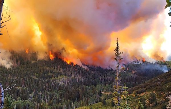 ‘This fire is a beast’: Silver King Fire in southern Utah continues to rage out of control