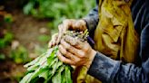 El Gobierno firmó el decreto que reglamenta los Territorios Campesinos Agroalimentarios
