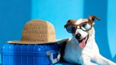 Dog-friendly getaways to discover in the UK this autumn