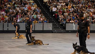 Despliegue del Grupo de Intervenciones Especiales y actuación de agentes caninos, así ha sido el acto de la Policía Foral en el Navarra Arena