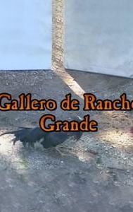 El Gallero de Rancho Grande