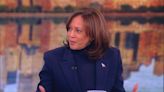 'We've got to earn reelection': VP Kamala Harris talks about 2024 campaign, women's rights on 'The View'