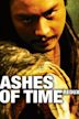 Ashes of Time Redux