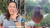 Jennifer Garner Jokingly Starts Bird ‘Modeling Agency’ After Becoming a Bird Watcher: ‘They’re Gorgeous'