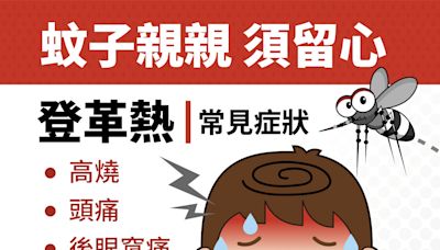 高市現本土登革熱新一波群聚疫情 疾管署籲落實「巡、倒、清、刷」 | 蕃新聞