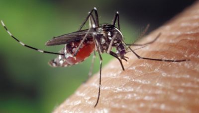 Rising West Nile virus cases in Georgia concerns health officials