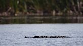 Lake Okeechobee needs better management as lake levels are now too high | Letters