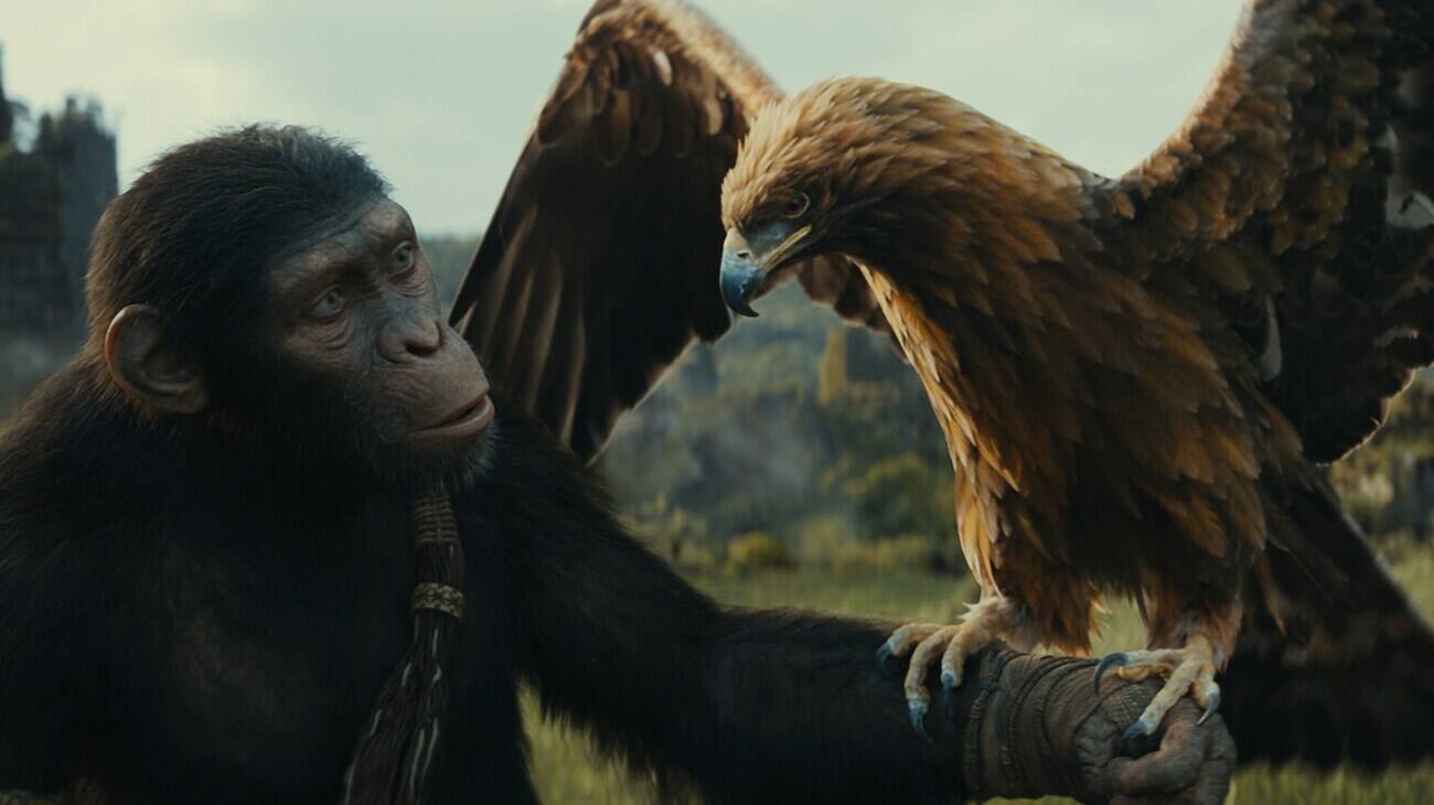 On the Screen: New ‘Planet of the Apes’ expands, brings new ideas to franchise universe | Homer News