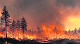 UNAM: Número de incendios forestales podría superar el del año pasado