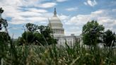 Senate negotiators to mark up first batch of 2025 funding bills next week