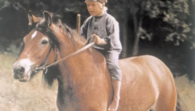 Große Lacher, großes Herz – Vergnügen mit Tiefgang