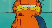 16. Attention-Getting Garfield; It Must Be True!