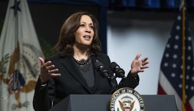 Vice President Kamala Harris Ignites Hope And Enthusiasm At Wisconsin Speech