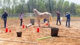 Healing with horses: Mother and daughter open equine therapy facility in Killen