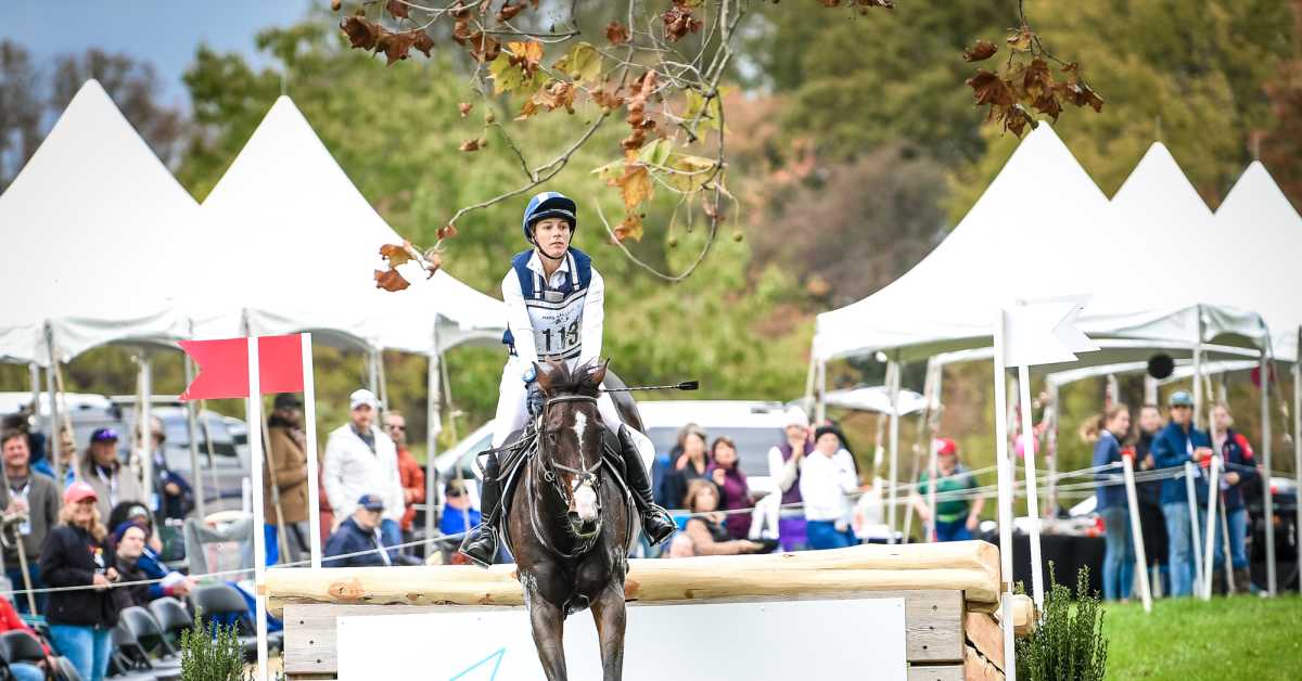 This Thoroughbred Cost $1; Now, He’s Headed To A Five-Star Event