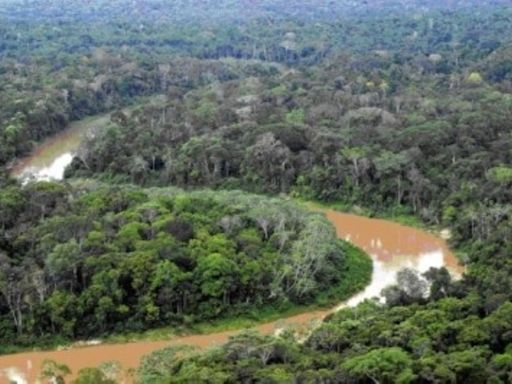 Lima será sede de encuentro de países de la cuenca amazónica contra la corrupción