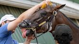 Preakness 2024: From Mystik Dan to Uncle Heavy, get to know the eight horses in the field