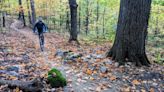 New shared-use trail opening at Hickory Ridge Preserve in Naples