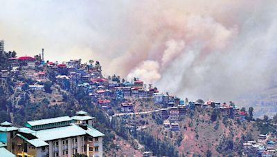 Over 1.3K wildfires in Himachal in one week