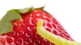 La manera correcta de lavar las fresas para eliminar los parásitos y pesticidas