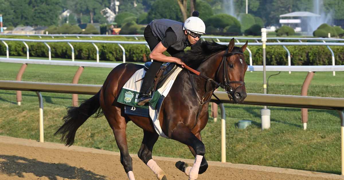 Sierra Leone Back To Work At Saratoga, Next Race Still Undecided